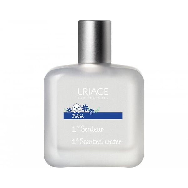 6037739.webp