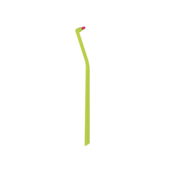 6225466.webp