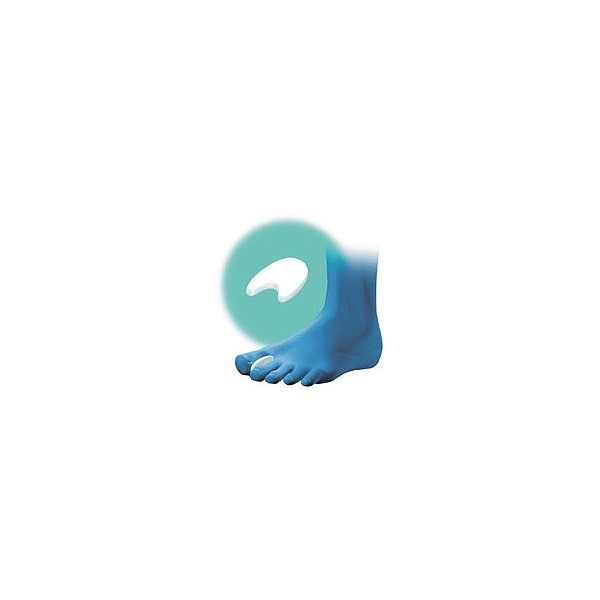 6790733.webp