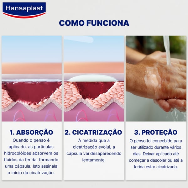 7277434-03.webp