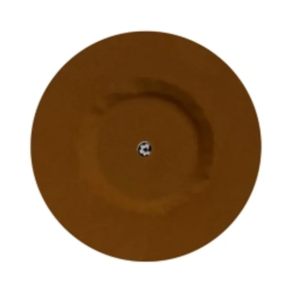 7548263.webp